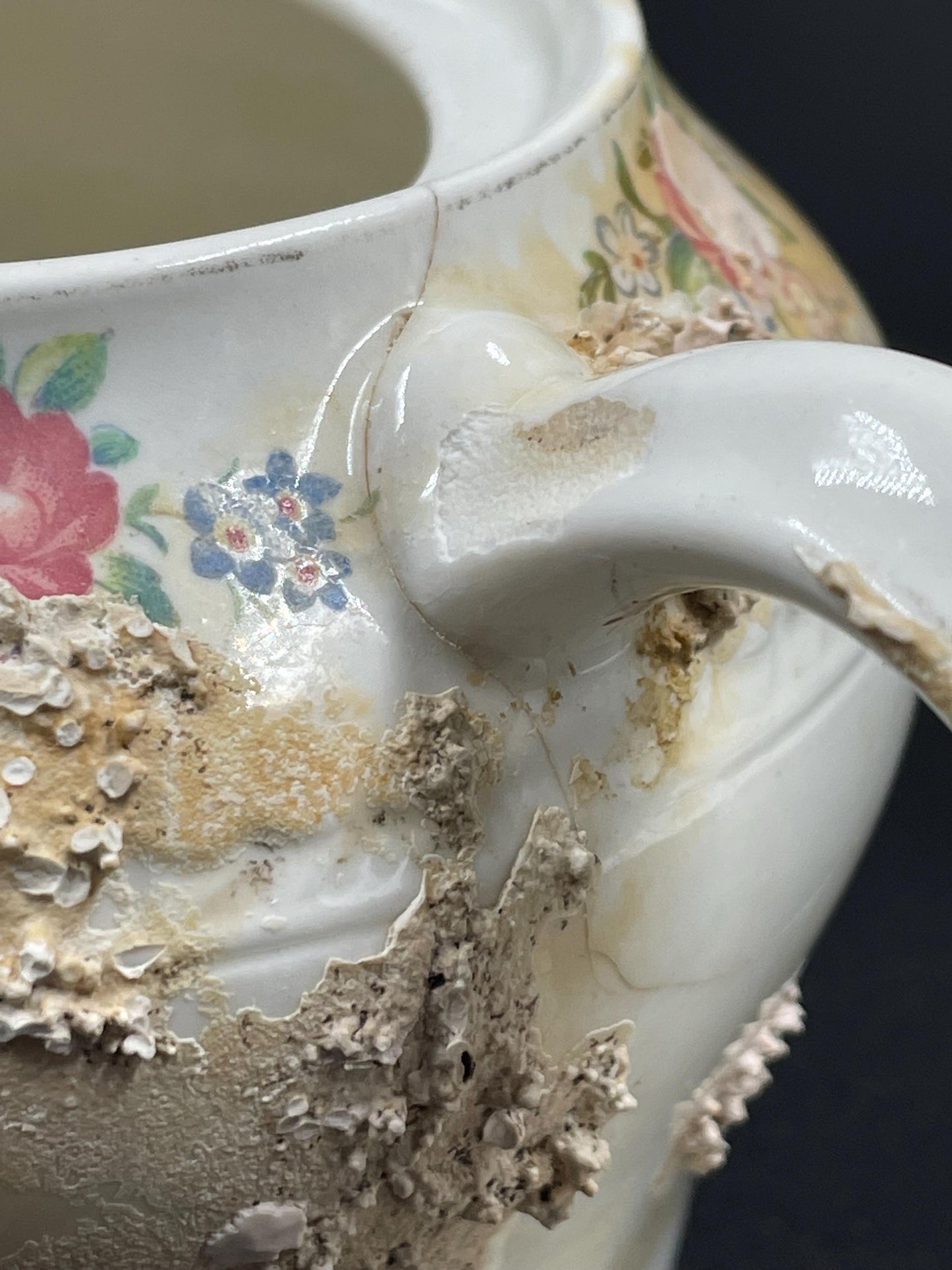 Natural Coral Encrusted Undersea Ceramic Teapot, Portland Pottery, Staffordshire, Made in England 1950s