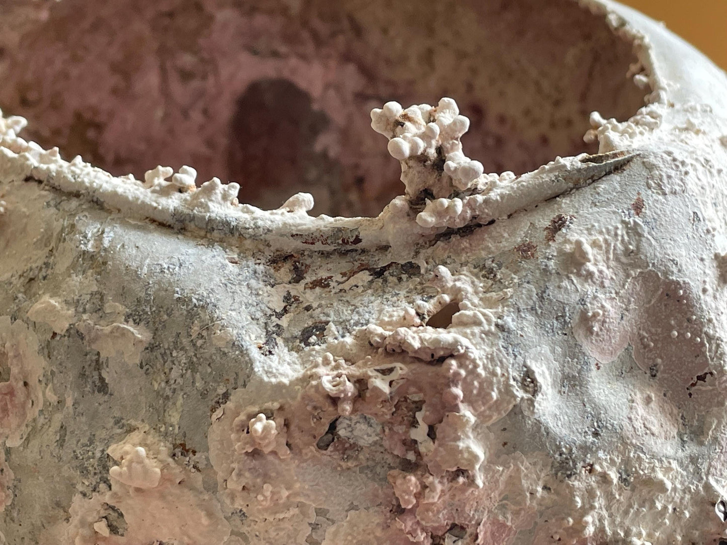 Coral Encrusted Undersea Alminum Kettle Very Rustic