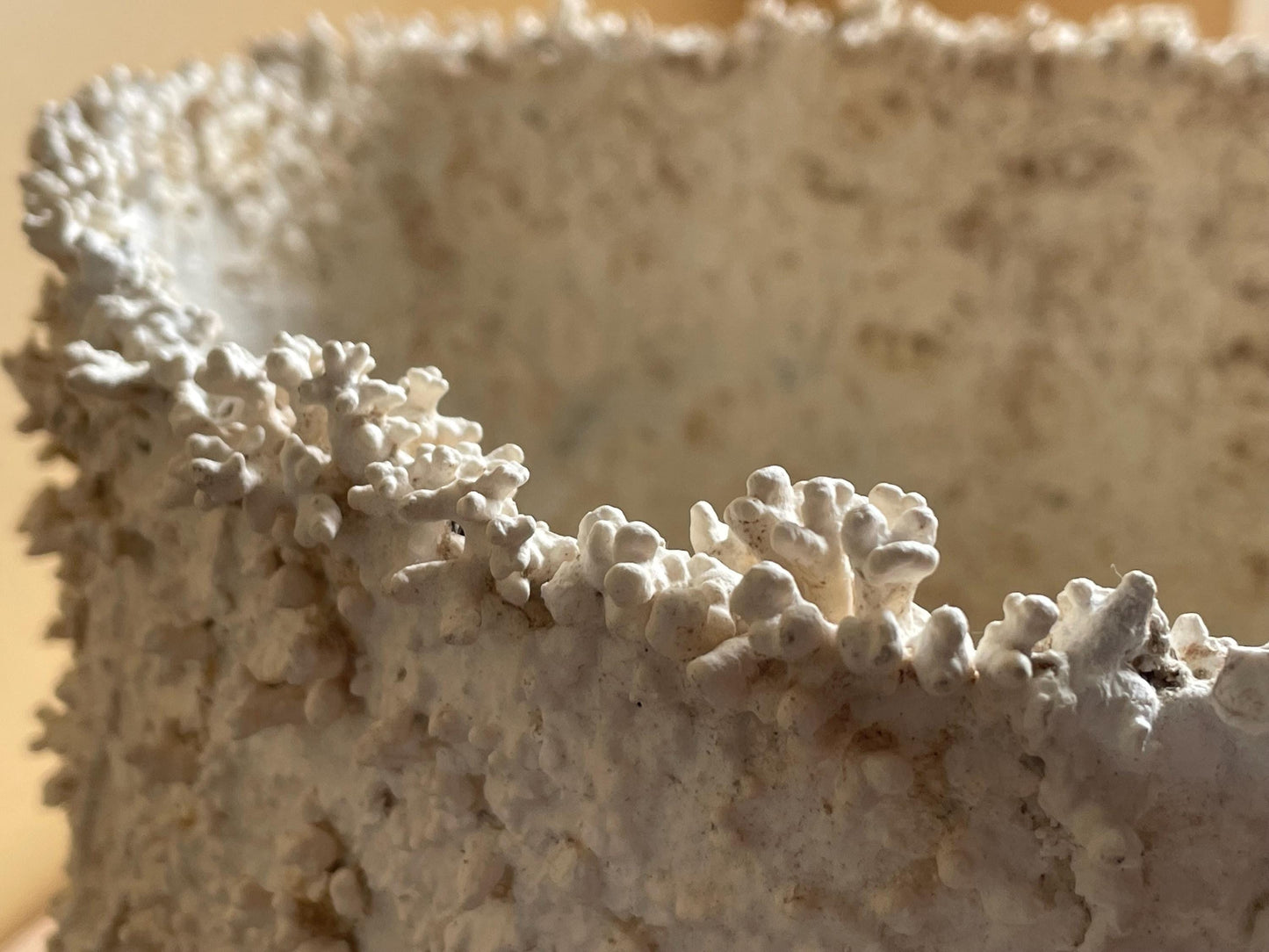 Large Coral Encrusted Undersea Aluminum Pot