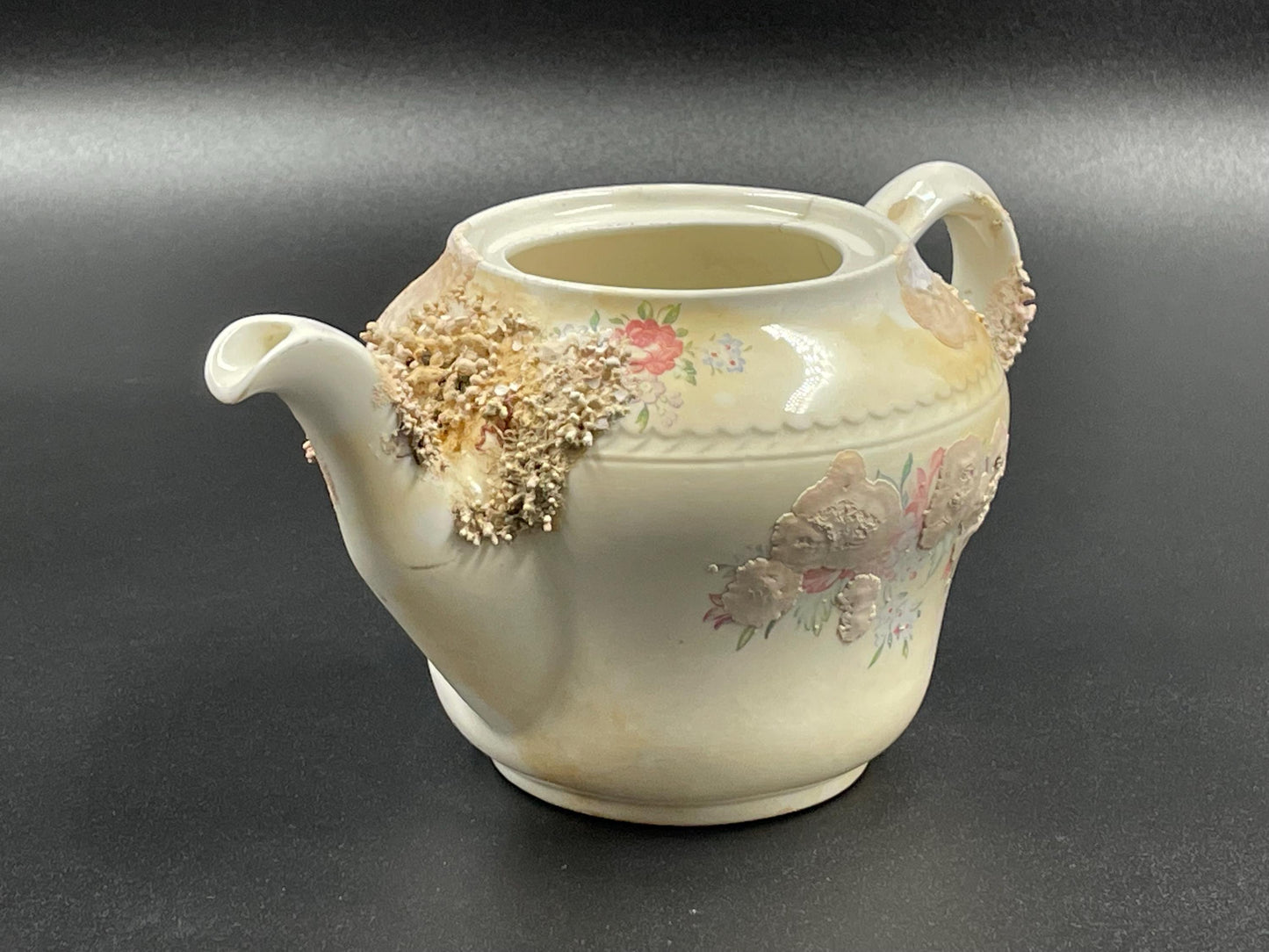 Natural Coral Encrusted Undersea Ceramic Teapot, Portland Pottery, Staffordshire, Made in England 1950s