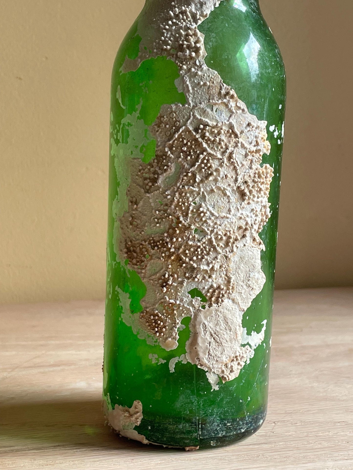 Coral Encrusted Undersea Green Pop/Soda Bottle