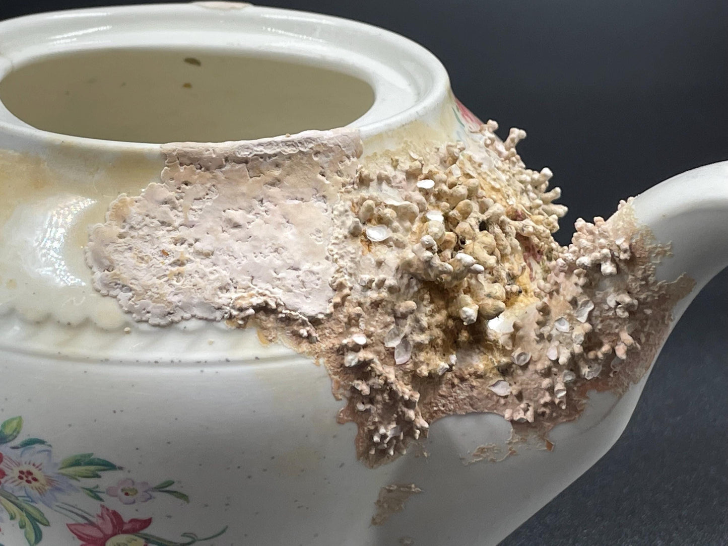 Natural Coral Encrusted Undersea Ceramic Teapot, Portland Pottery, Staffordshire, Made in England 1950s