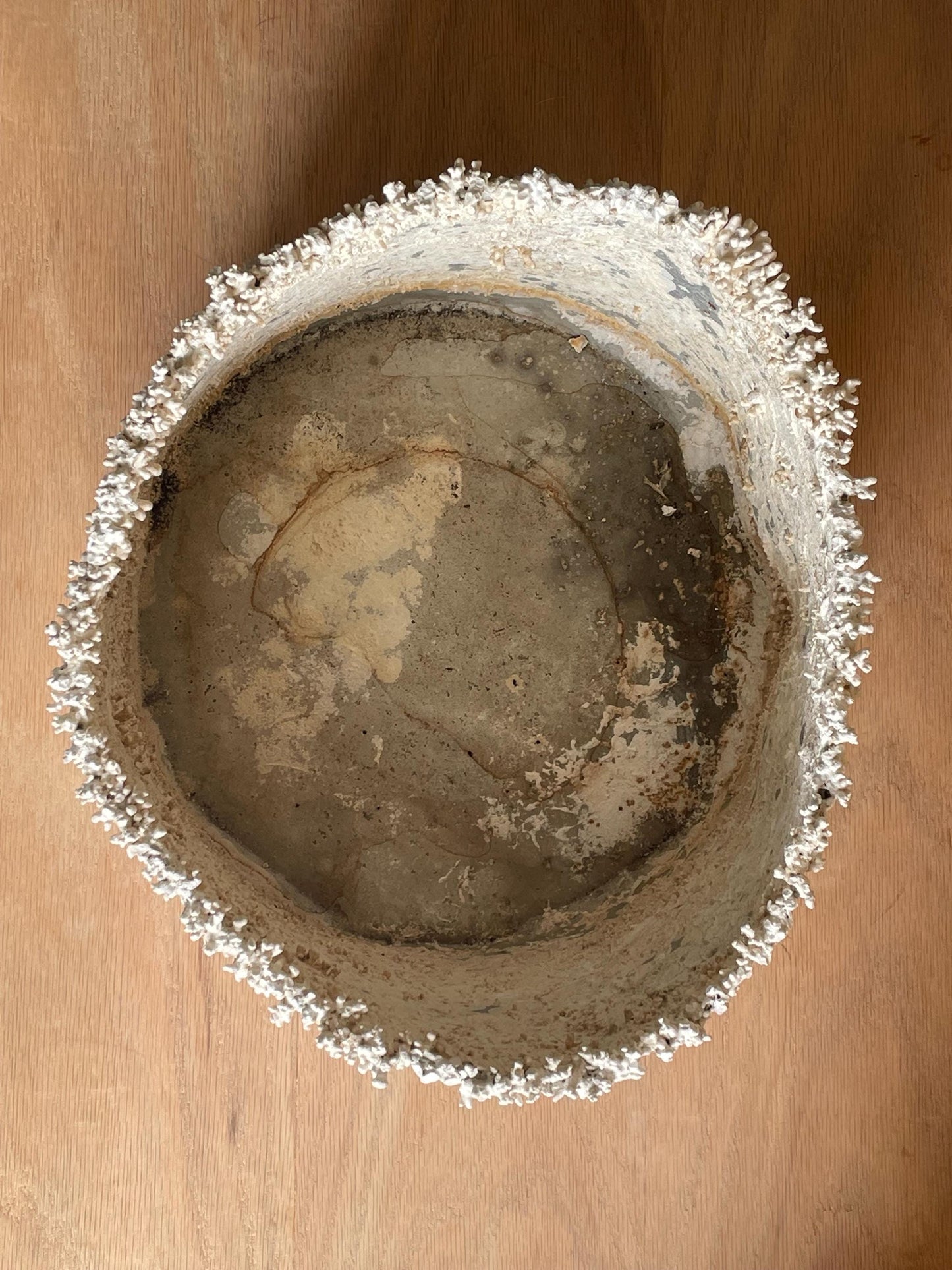 Large Coral Encrusted Undersea Aluminum Pot