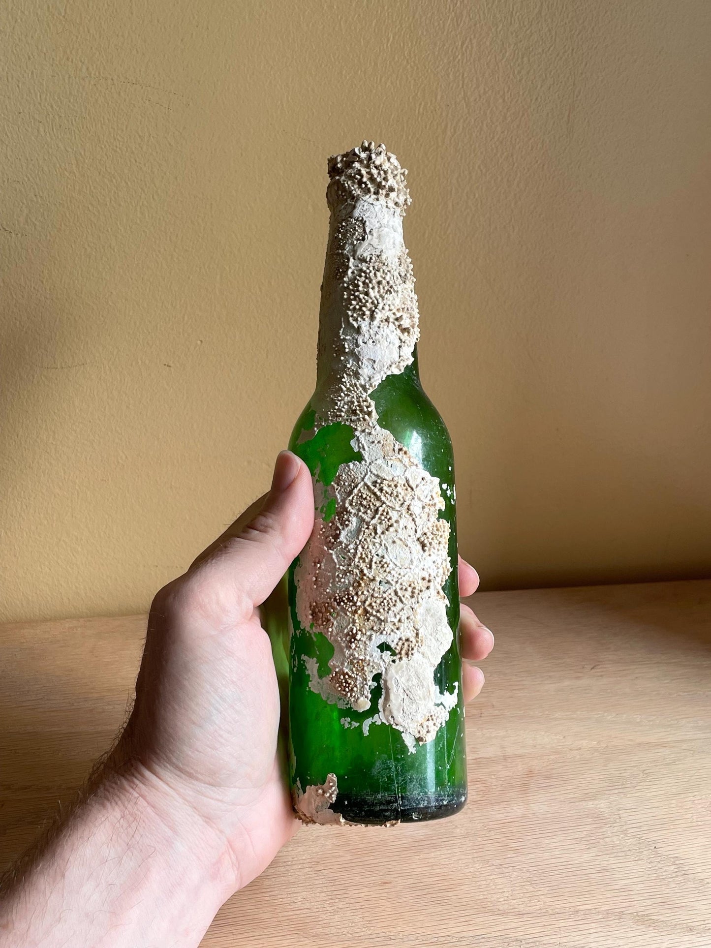 Coral Encrusted Undersea Green Pop/Soda Bottle