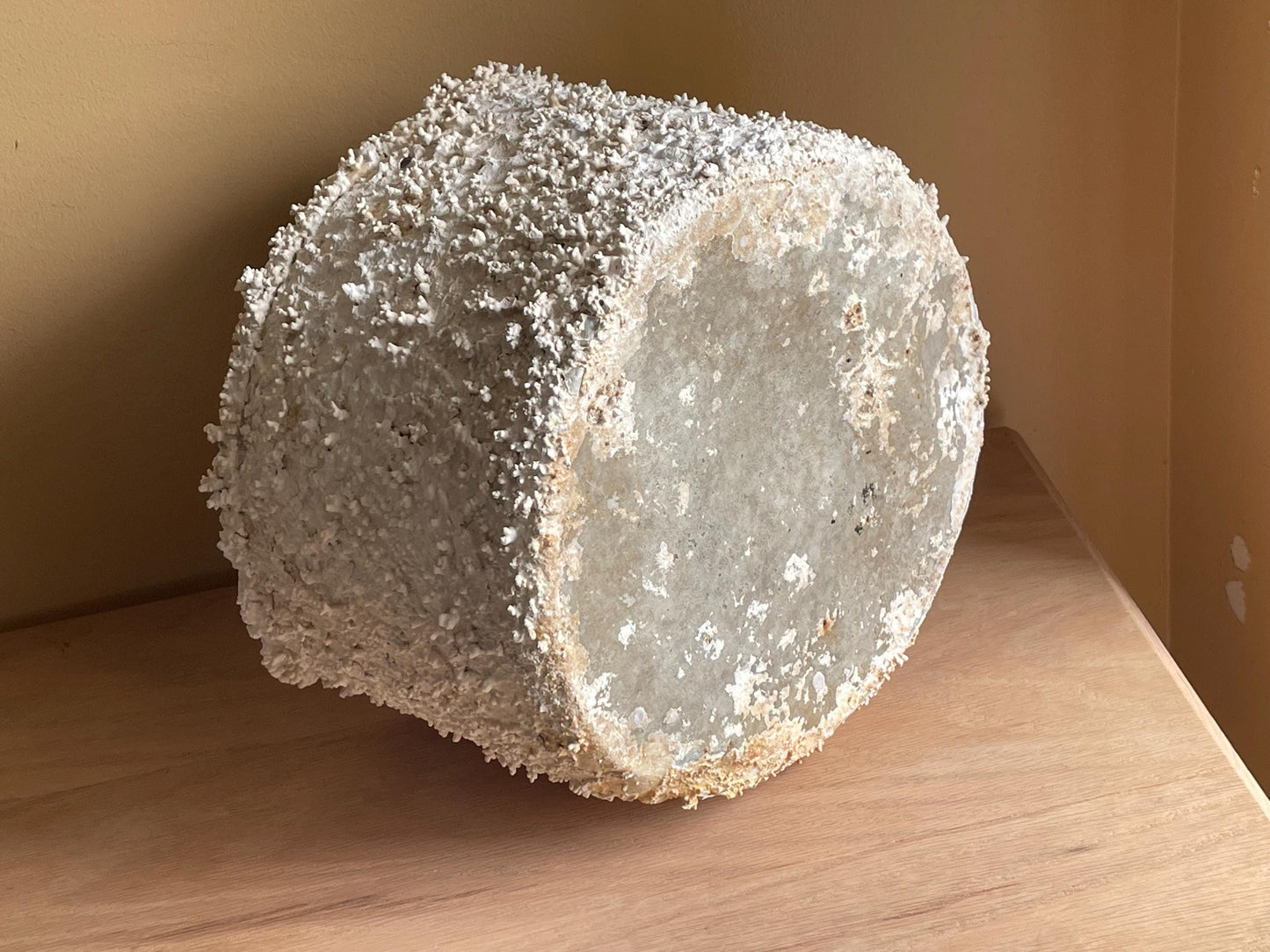 Large Coral Encrusted Undersea Aluminum Pot