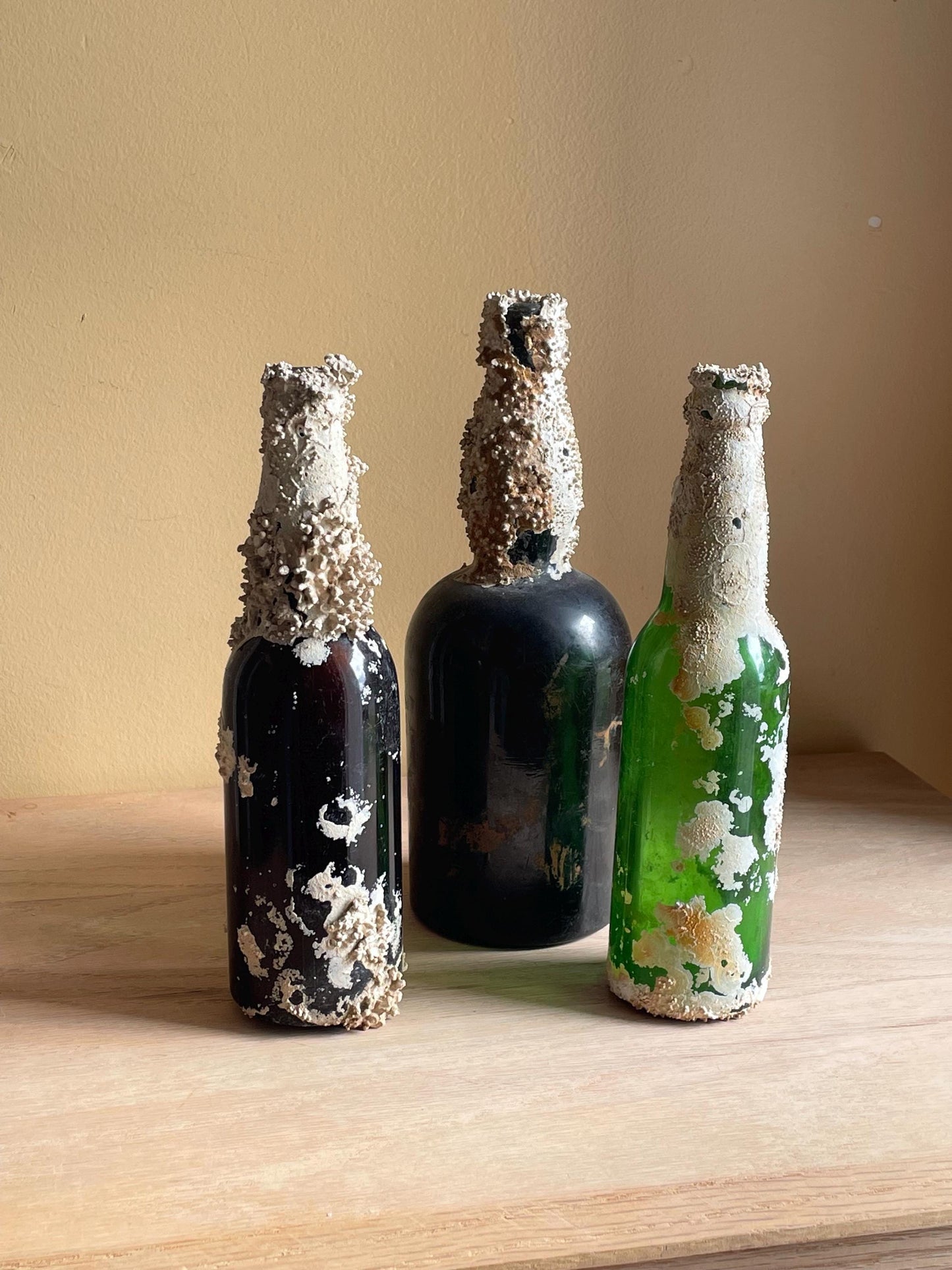 Coral Encrusted Undersea Green Pop/Soda Bottle