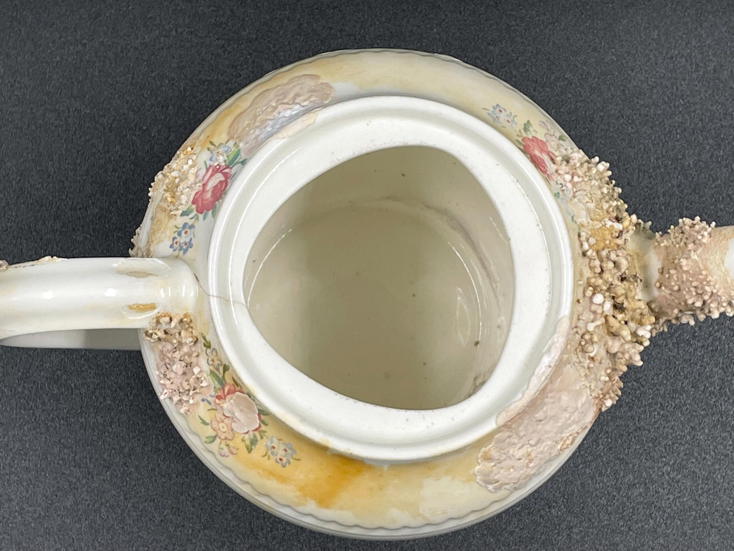 Natural Coral Encrusted Undersea Ceramic Teapot, Portland Pottery, Staffordshire, Made in England 1950s