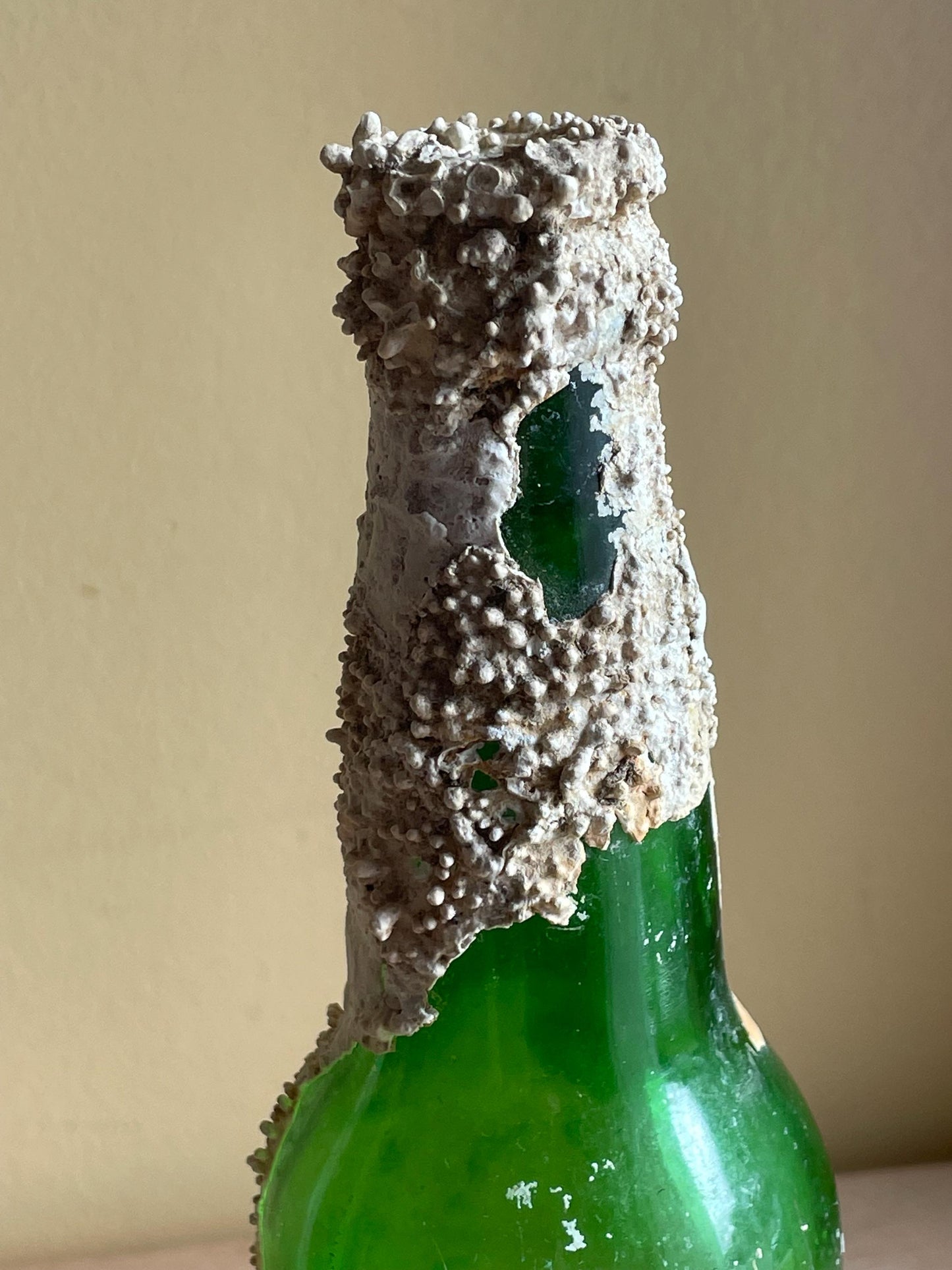 Coral Encrusted Undersea Green Pop/Soda Bottle