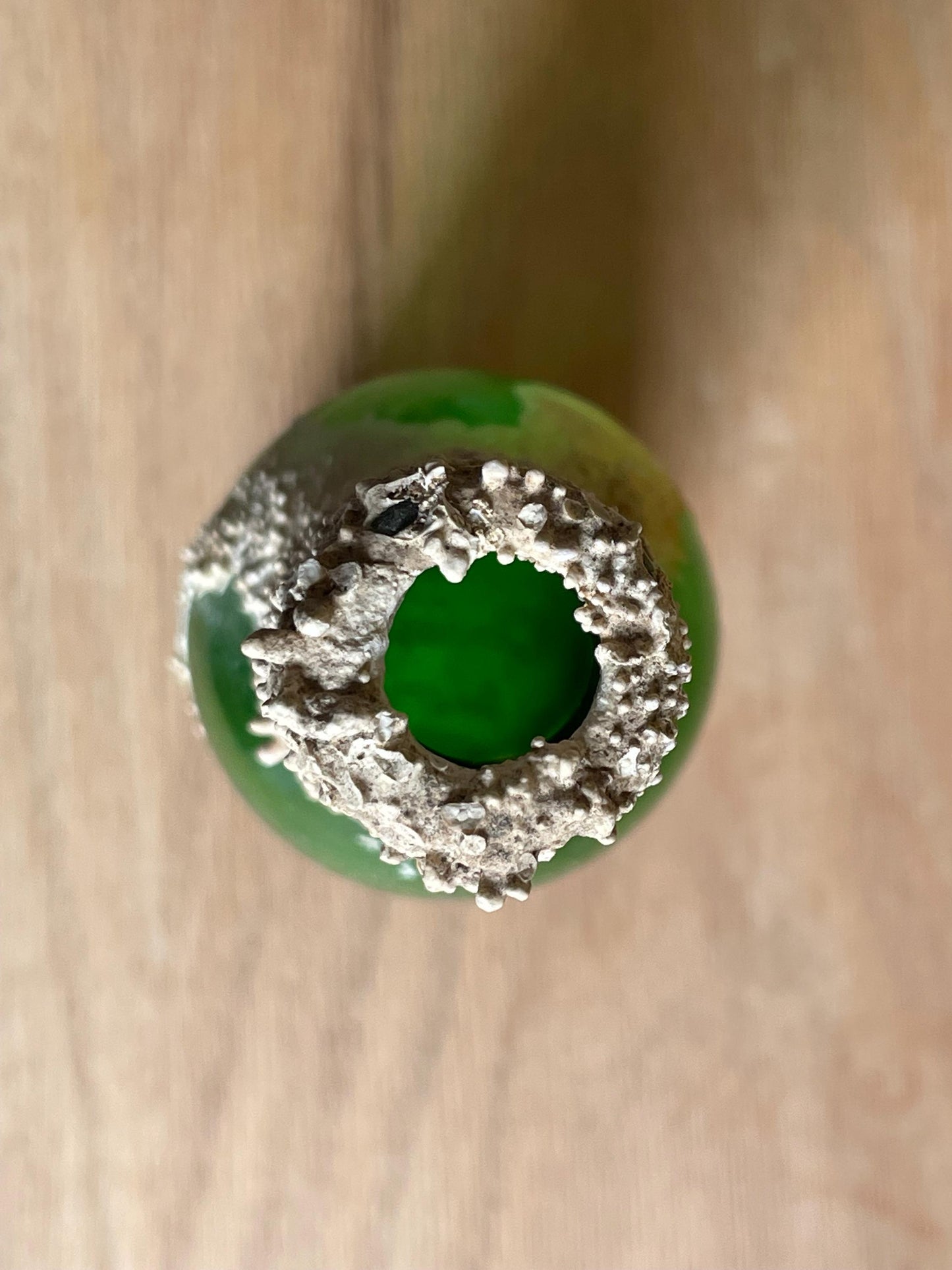Coral Encrusted Undersea Green Pop/Soda Bottle