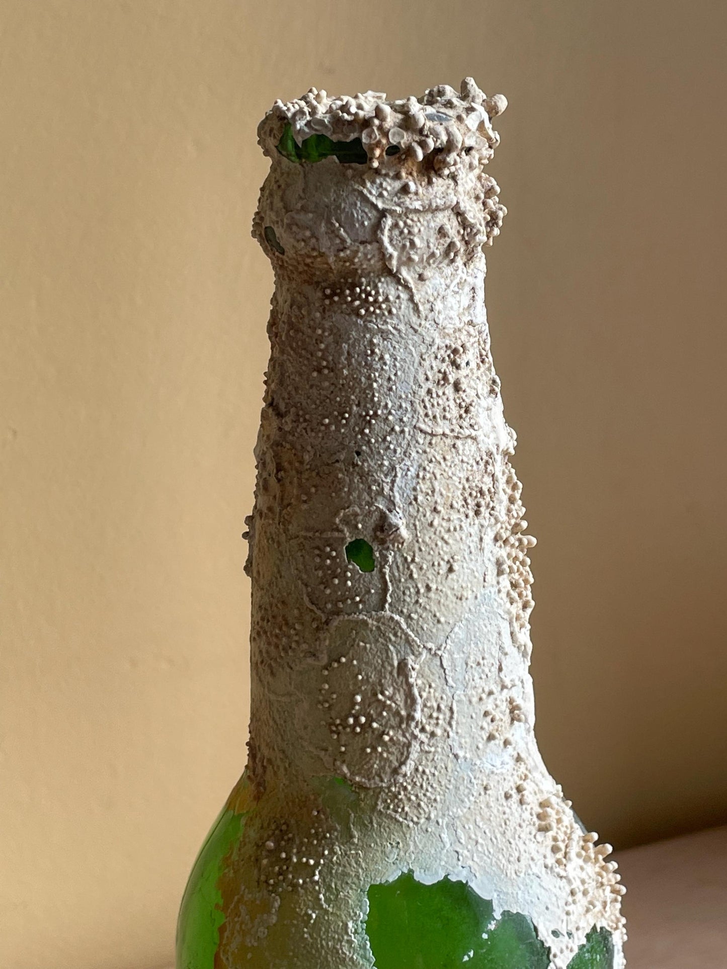 Coral Encrusted Undersea Green Pop/Soda Bottle