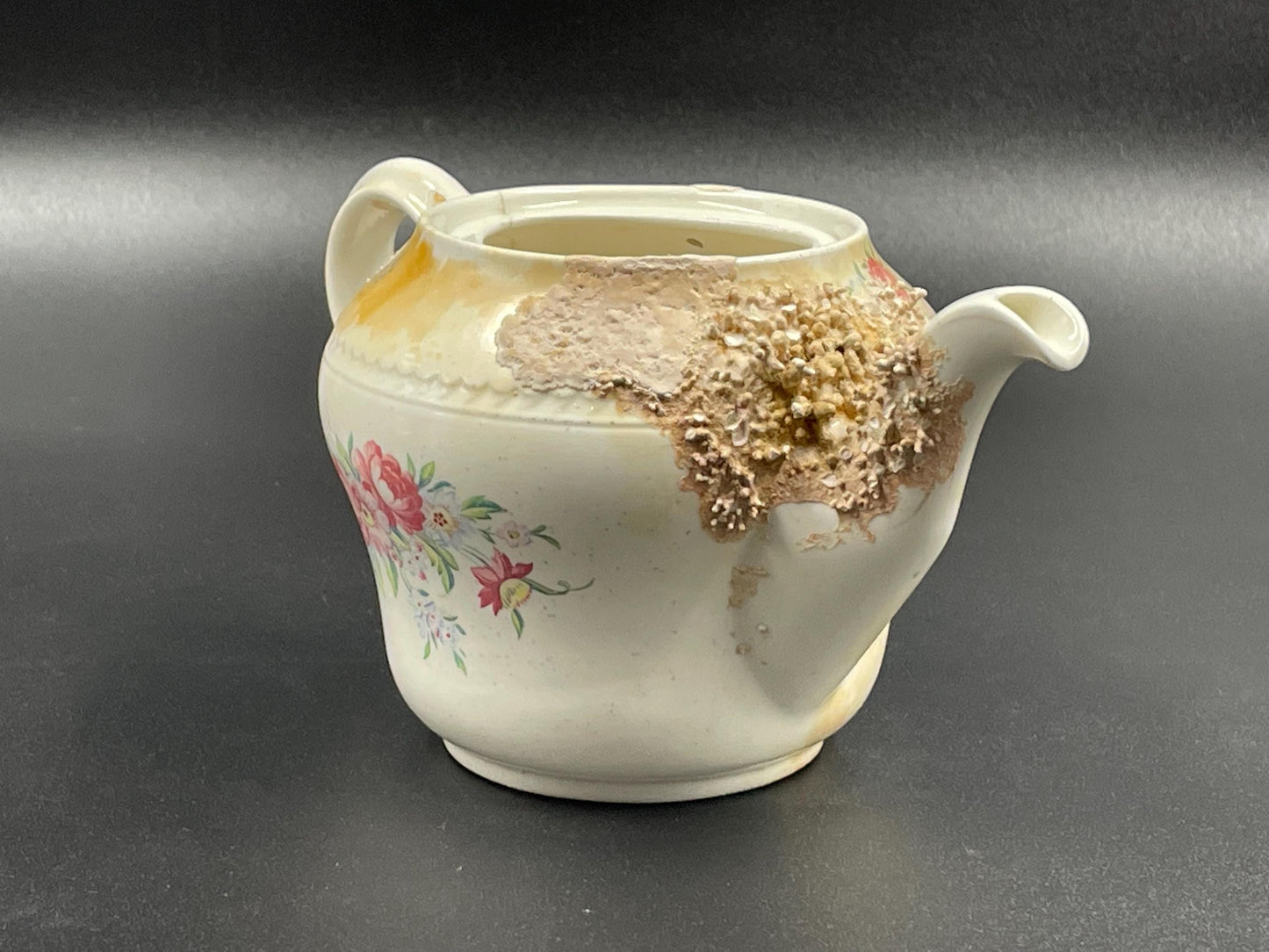 Natural Coral Encrusted Undersea Ceramic Teapot, Portland Pottery, Staffordshire, Made in England 1950s