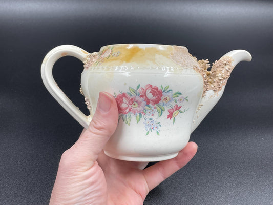 Natural Coral Encrusted Undersea Ceramic Teapot, Portland Pottery, Staffordshire, Made in England 1950s
