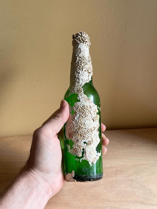 Coral Encrusted Undersea Green Pop/Soda Bottle
