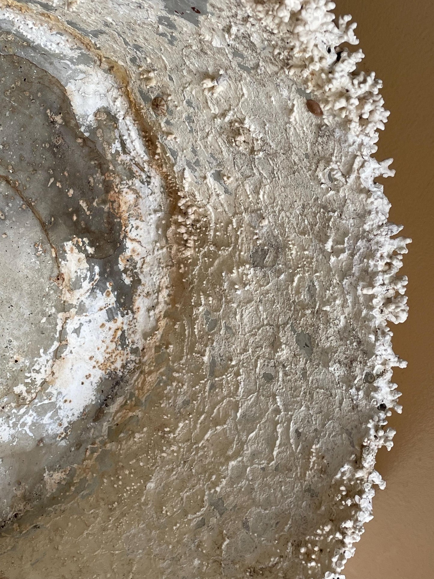 Large Coral Encrusted Undersea Aluminum Pot