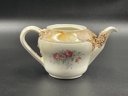 Natural Coral Encrusted Undersea Ceramic Teapot, Portland Pottery, Staffordshire, Made in England 1950s