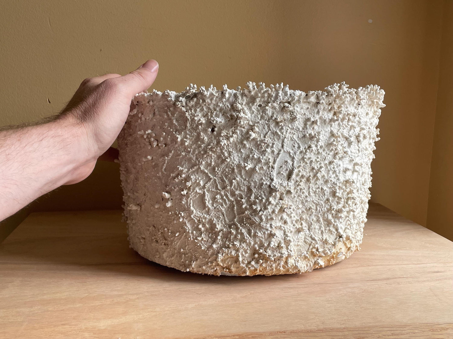Large Coral Encrusted Undersea Aluminum Pot