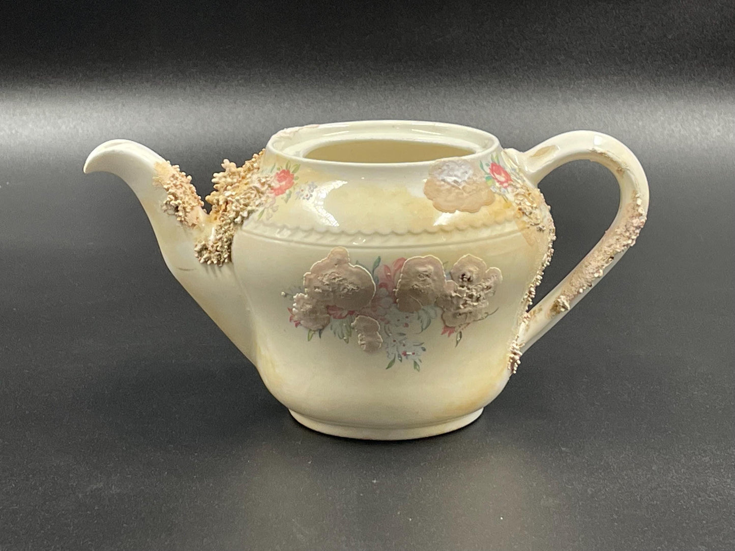 Natural Coral Encrusted Undersea Ceramic Teapot, Portland Pottery, Staffordshire, Made in England 1950s